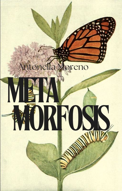 Metamorfosis, relatos de transformación en el paso del colegio a la vida adulta