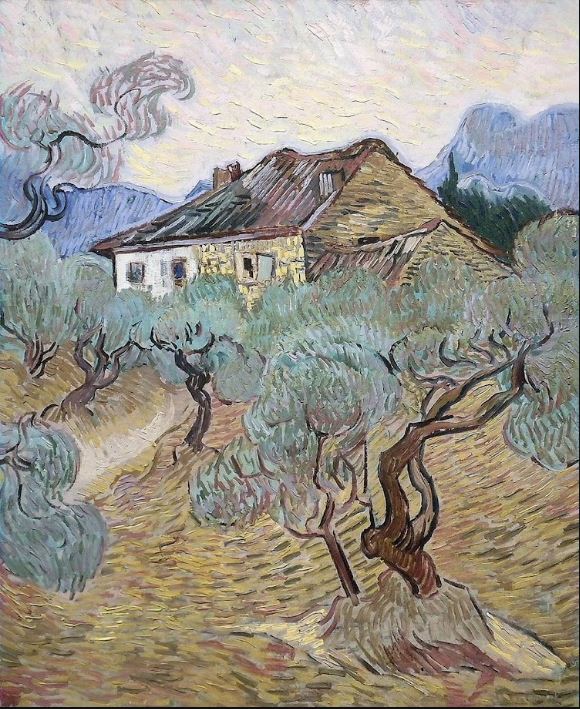 El árbol de la ventana